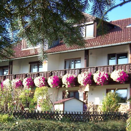 Pension Erna Zwiesel Exterior photo