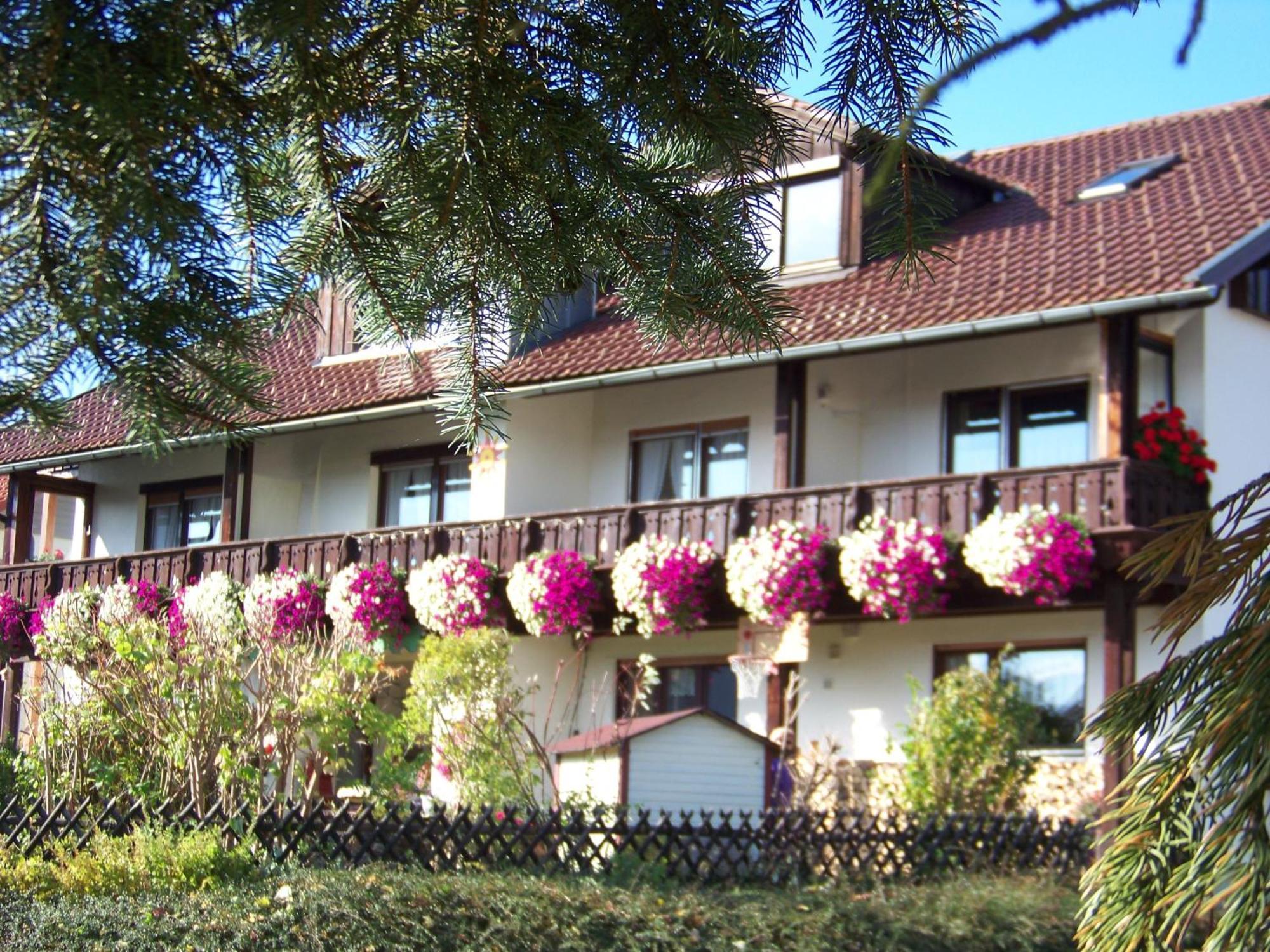 Pension Erna Zwiesel Exterior photo